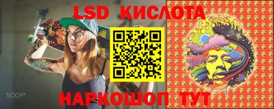 гидра Беслан