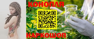 гидра Беслан