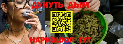 гашик Бийск