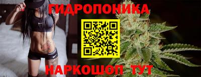 индика Берёзовский