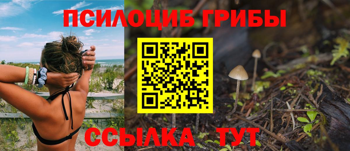 Галлюциногенные грибы Cubensis  Псилоцибиновые грибы мухоморы  Вход с VPN  Ефремов 